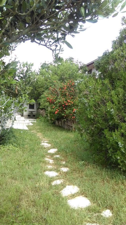 Casa Blanka Daire Novi Vinodolski Dış mekan fotoğraf